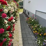 Muel Eg Am Dreilaendereck De,ch,fr 巴特塞京根