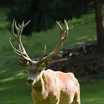 Muel Eg Am Dreilaendereck De,ch,fr 巴特塞京根