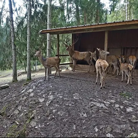 Muel Eg Am Dreilaendereck De,ch,fr Apartment Bad Sackingen